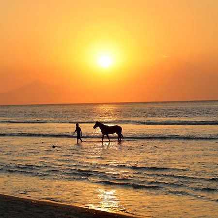 Villa Sunset Beach Гілі-Траванган Екстер'єр фото